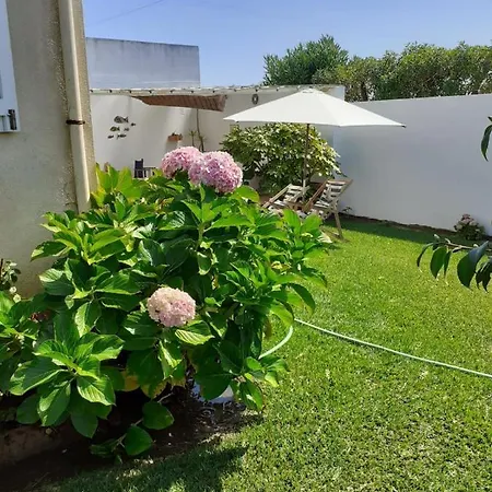 Casa Da Ria 78 Holiday home
